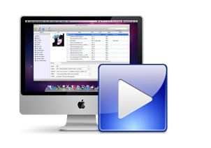 Personnaliser iTunes Music Converter